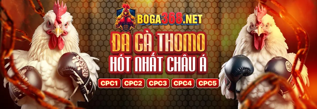 Hình ảnh nền tảng đá gà GA65 an toàn và uy tín